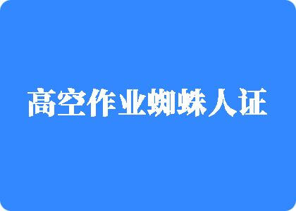 男女操逼视频网站观看免费中文字幕高空作业蜘蛛人证